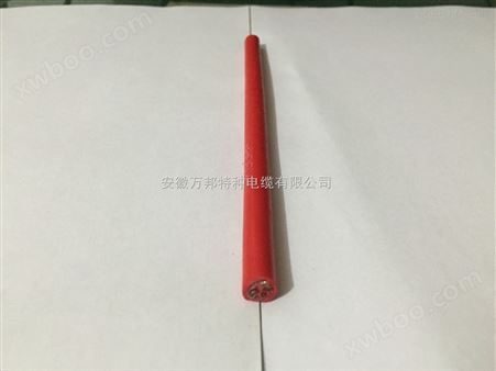 专业国标生产FG氟塑料绝缘硅橡胶护套电力电缆
