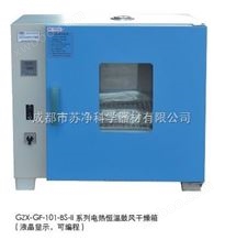 GZX-GF101-4-BS-II四川电热鼓风干燥箱
