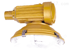 SBR1120-YQL65/120免维护节能防爆道路灯|吊杆灯
