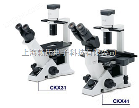 奥林巴斯CKX-41倒置显微镜中国区代理商