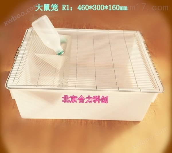 大鼠笼 R1：460*300*160mm   盒子+网盖+水壶
