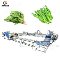 凤翔 速冻菠菜前处理生产线 叶菜加工生产线 果蔬加工成套设备