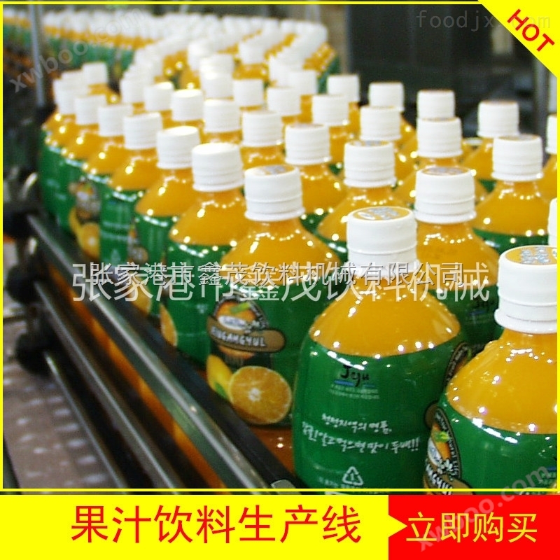 橙汁椰子汁加工生产设备
