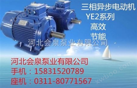 YE2-801-4电动机