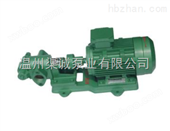 温州品牌KCB,2CY齿轮油泵