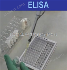 兔载脂蛋白E（Apo-E）ELISA试剂盒价格