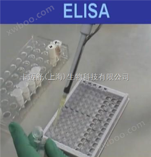 兔子肝细胞生长因子（HGF）ELISA试剂盒价格