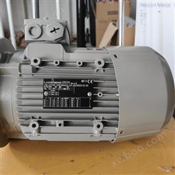 LAMMERS低压电机1TZ9002-0BA2