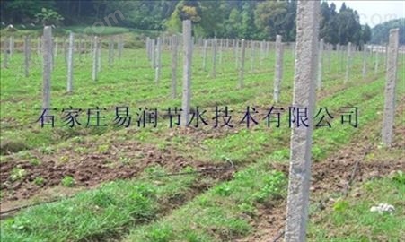 宜阳县蔬菜滴灌管设备_专业指导|服务周到
