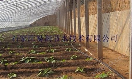 大田滴灌对农作物的影响_PE滴灌管灌溉方式