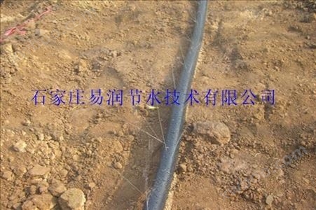 大名县大棚灌溉喷带设备-精技术