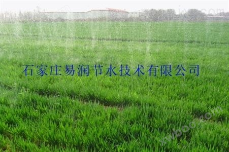 大名县大棚灌溉喷带设备-精技术