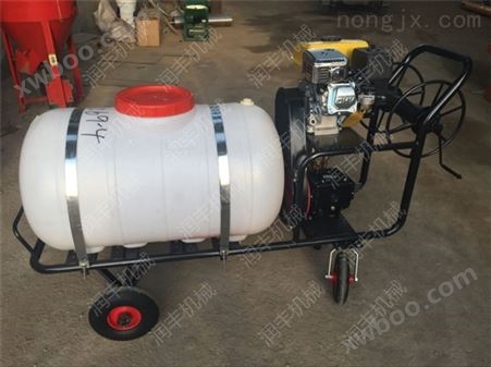 自走式汽油喷雾器 高效农用喷雾器 水稻打药机