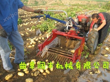 鲁甸县牵引式土豆收获机 拖拉机收获机