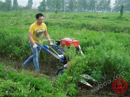 宜州小型辣椒收割机 水稻牧草收割机
