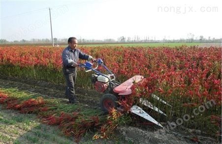 宜州小型辣椒收割机 水稻牧草收割机