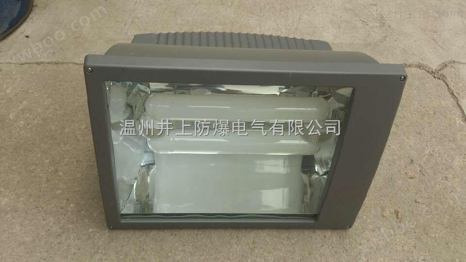 LVD-ZS3200投光灯 300W环形节能防水防尘泛光无极灯