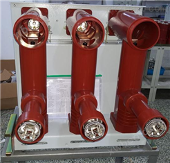 ZF（R）-12型系列中置固封式真空负荷开关-熔断器组合电器