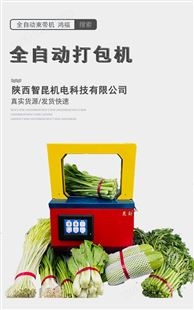 KJ-HF2020X昆劲韭菜蔬菜捆扎机打包机 红外感应快速