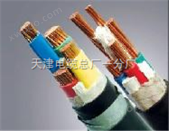 供应铠装同轴电缆SYV53|铠装电视电缆规格-安庆