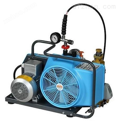 进口宝华牌空气压缩机/呼吸器充气泵