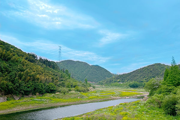 河南省2024年生态环境保护工作会议召开