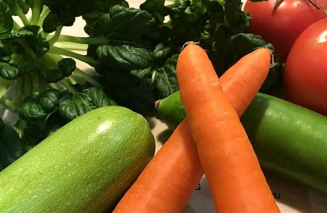 深耕蔬菜制品产业提质赋能乡村振兴！天门市蔬菜制品产业链质量提升推进会顺利召开