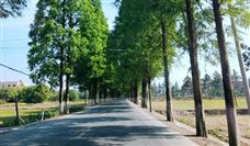 呼和浩特智慧交管建设与应用成果与下一步计划