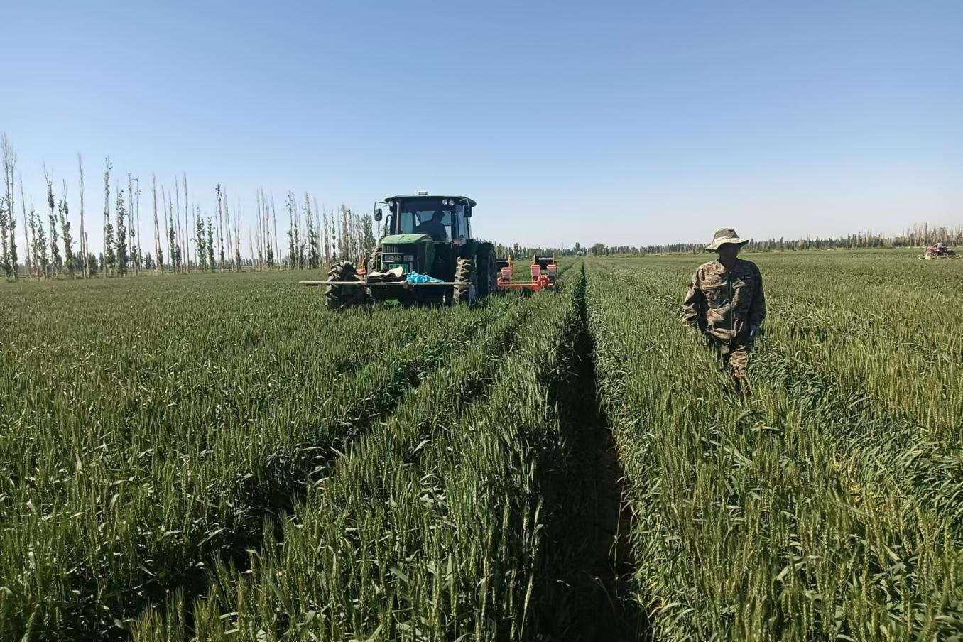 新疆和硕县：农机补贴精准发力 智慧农机赋能 和硕农业提质增效