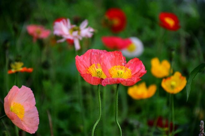 邮政管理系统学习贯彻党的二十届四中全会精神专题宣讲会召开